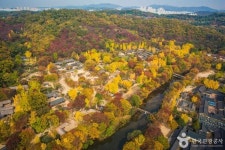 경기 용인 가볼 만한 곳, 겨울의 활기찬 순간과 문화 체험