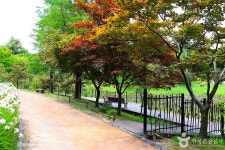 여주 가볼 만한 곳, 자연의 숨결과 다채로운 체험의 순간들