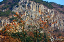 청도 가볼 만한 곳, 천년 고찰과 새마을운동의 발자취를 따라