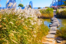 울산 가볼 만한 곳, 태화강 국가정원의 대숲 바람 소리