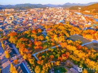 남원 가볼 만한 곳, 지리산 자락에서 펼쳐지는 겨울 산사의 정취