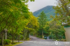 장수 가볼 만한 곳, 자연과 역사의 숨결이 깃든 고장
