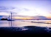 [지역이 경쟁력이다] 설 연휴 안산 나들이 가볼까