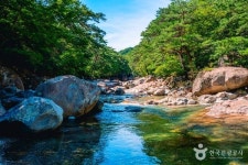 산청 가볼 만한 곳, 자연과 역사가 어우러진 지리산 여행