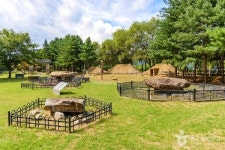 강원 양구 가볼 만한 곳, 선사시대 역사와 현대 미술이 만나는 여행