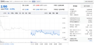 skai 주가, 3월 3일 장중 2,195원 5.79% 하락