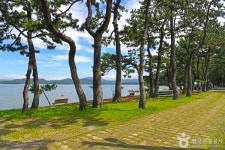 고흥의 봄바람 따라 걷는 여유로운 시간, 섬과 바다가 전하는 이야기