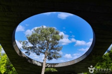 경기 광주 가볼 만한 곳, 화담숲에서 만나는 푸른 봄의 정취