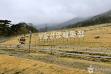 화순 가볼 만한 곳, 무등산양떼목장에서 만나는 특별한 체험