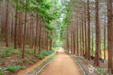 고흥 가볼 만한 곳, 자연 속 힐링과 특별한 체험의 순간