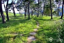 봄에 가볼 만한 곳, 나주의 솔숲과 역사가 어우러진 길