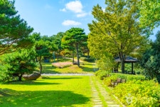 하동 가볼 만한 곳, 섬진강변을 따라 걷는 고요한 하동공원 산책