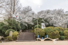 봄에 가볼 만한 곳, 순천에서 만나는 도시 풍경