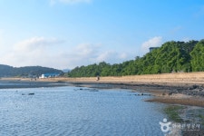 서천의 봄날 가볼 만한 곳, 고요한 해변과 역사의 숨결이 공존하는 길