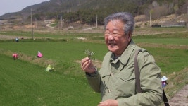 한국인의 밥상 칠봉마을 울금· 강진 코끼리마늘 웅녀떡 전복· 구례 용방면 오리농장 등 최불암과 떠나는 봄날의 면역 밥상