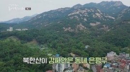 김영철의 동네 한 바퀴 북한산 은평구 산새마을· 앵무새 아저씨· 은평 한옥 마을· 진관사 사찰음식· 동네 순회 시계 수리공· 김.치 카페... 