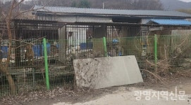 개 사체-뼈 무덤까지...경기도 육견농장 동물학대 긴급수사