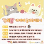 유기동물 입양쉼터 누리봄, 시원한 음료 무료 이벤트!