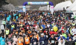 물사랑대청호마라톤대회, 벚꽃 향기 가득 성황