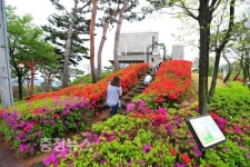 예산군, 봄철 예당호 관광객 발길 분주