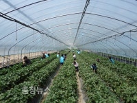 대덕대 한울타리, 유성구노인복지관 어버이날 행사 귀감