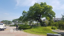천안시, 보호수 병충해 방제 앞장