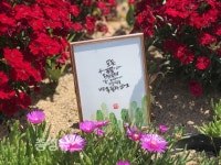 세종,대전,충북 캘리 작가들, 31일까지 캘리 감사전