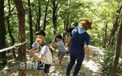 세종시교육청, 모험의 숲 운영
