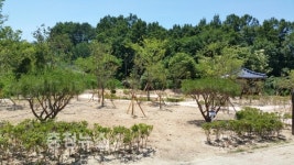 부여밀알의집 나눔숲 조성사업 준공