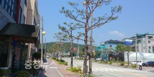 공주시, 아름다운 거리조성 눈길