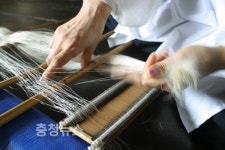 서천 한산모시짜기 지역전략산업특화과제 선정 쾌거!