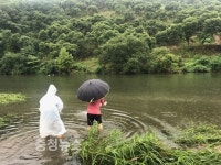 참게, 다슬기야 은산면에서 잘 크렴