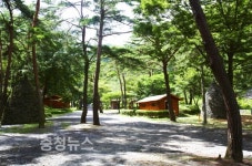 부여 대표 휴양지에서 무더위 날려요