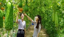 홍동면 문당 마을, 특별한 여름나기