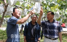 구본영 천안시장, 휴일 반납 가뭄피해농가 지원 총력