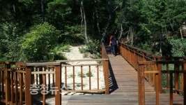 홍성군, 교통약자 위한 무장애 숲길 조성