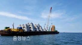 태안군, 수산자원 복원 150억 투입!