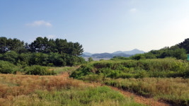 서천 송석리 염산소분시설 허가신청 부결