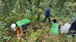 건협 어머니사랑 봉사단, 농촌 일손돕기 나서