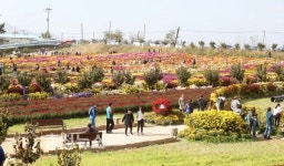 제21회 서산국화축제 27일 개막!
