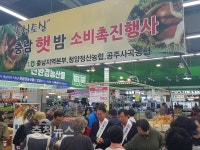 충남농협, 햇밤 소비촉진운동 전개