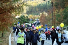 논산 양촌자연휴양림서 늦가을 추억 만들어요