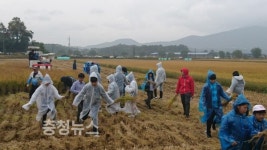 보령시, 쌈지돈 농촌체험 축제 성황