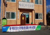 충남농협, 벼 직파 및 논 타작물(콩) 수확 시연