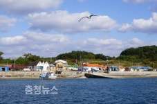 보령수협외연도어촌계 | 보령시, 어촌뉴딜 300사업 선정