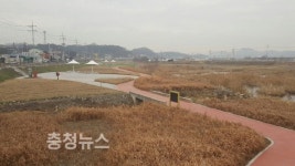 천안시, 아름다운 풍서천에 놀러오세요!
