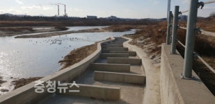 아산시, 실옥보 어도(魚道) 개보수 완료