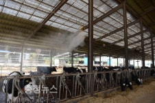 축산1번지 홍성군, 선진 축산행정 202억 투입!