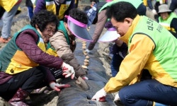 대전중구, 이웃과 나눌 감자 심기 구슬땀