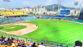 대전 새 야구장 부지 중구 확정 유력